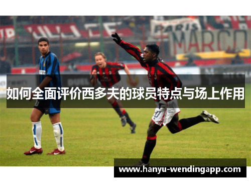 如何全面评价西多夫的球员特点与场上作用