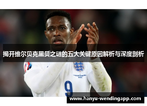 揭开维尔贝克黑贝之谜的五大关键原因解析与深度剖析