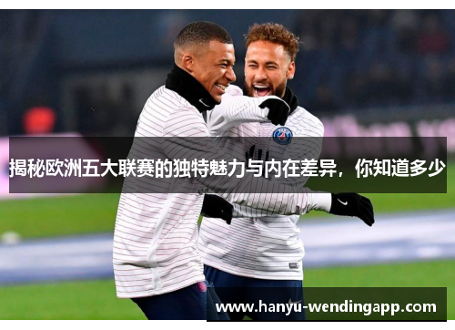 揭秘欧洲五大联赛的独特魅力与内在差异，你知道多少